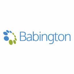 Babington Business College